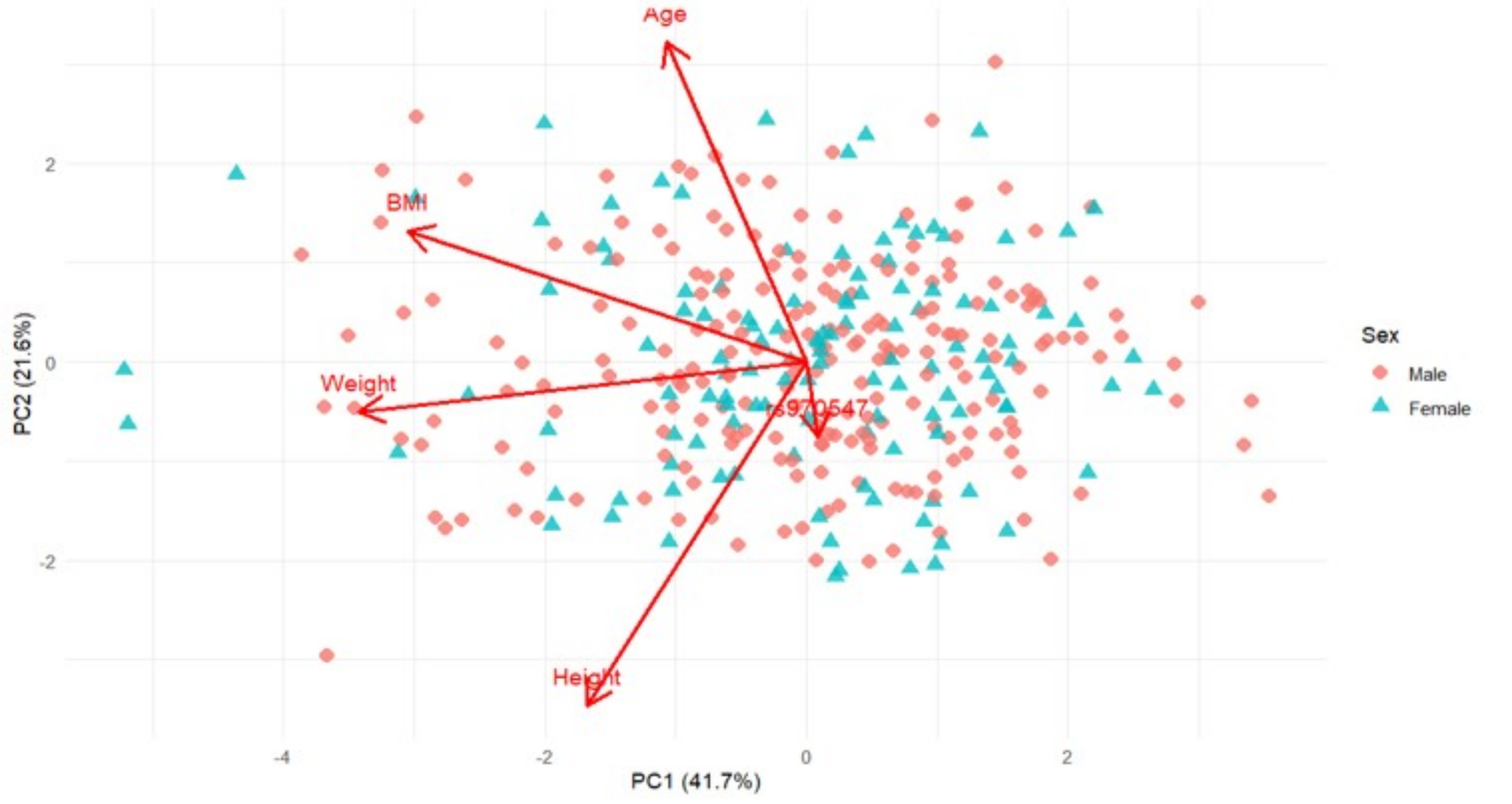Principal Component Analysis biplot based on sex-standardised Age, Height, Weight, BMI and genotype (COL12A1 rs970547 C>T) for the Australian cohort stratified by sex, with PC1 and PC2 explaining 41.7% and 21.6% of the total variance