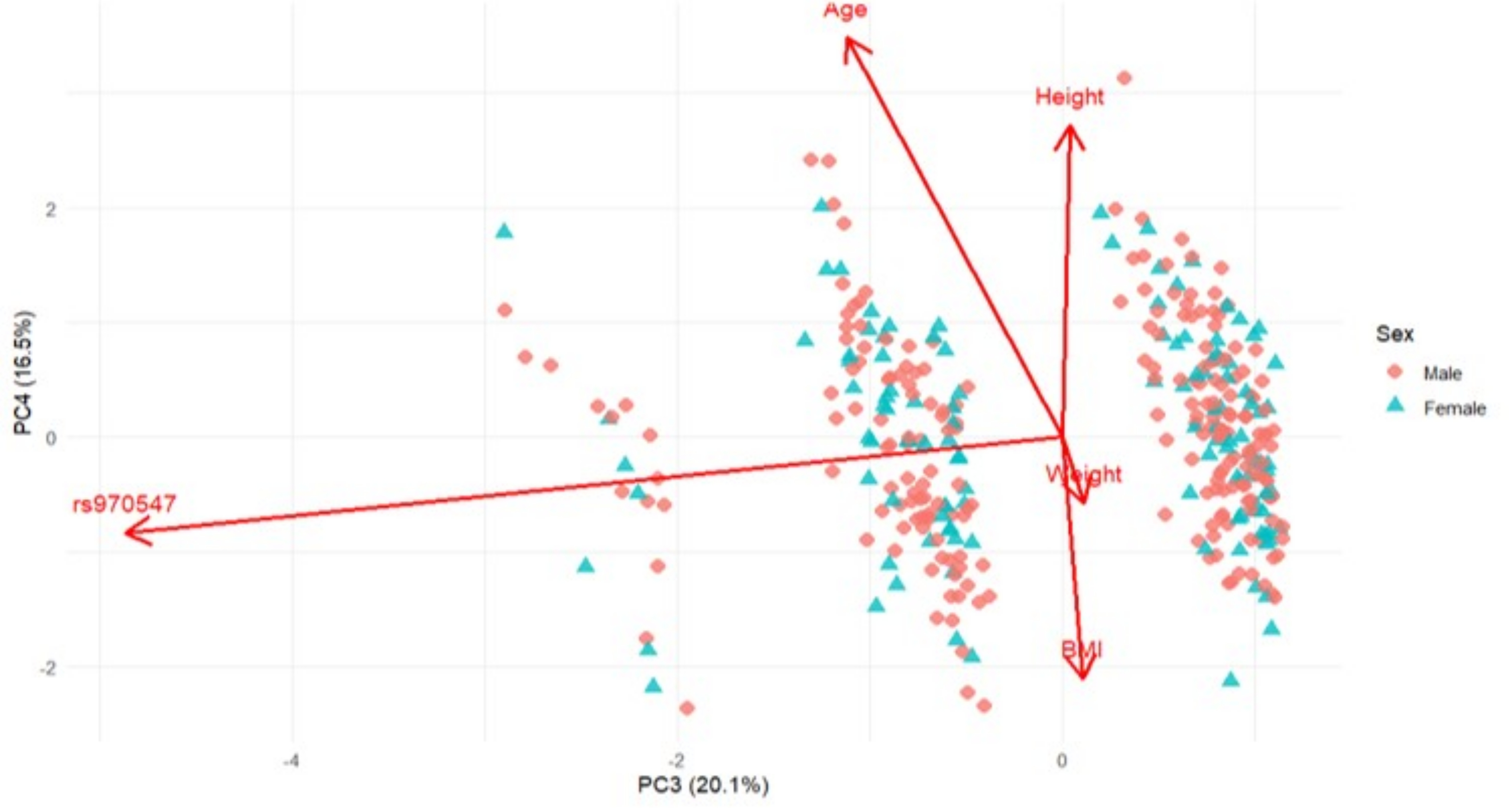 : Principal Component Analysis biplot based on sex-standardised Age, Height, Weight, BMI and genotype (COL12A1 rs970547 C>T) for the Australian cohort stratified by sex, with PC3 and PC4 explaining 20.1% and 16.5% of the total variance