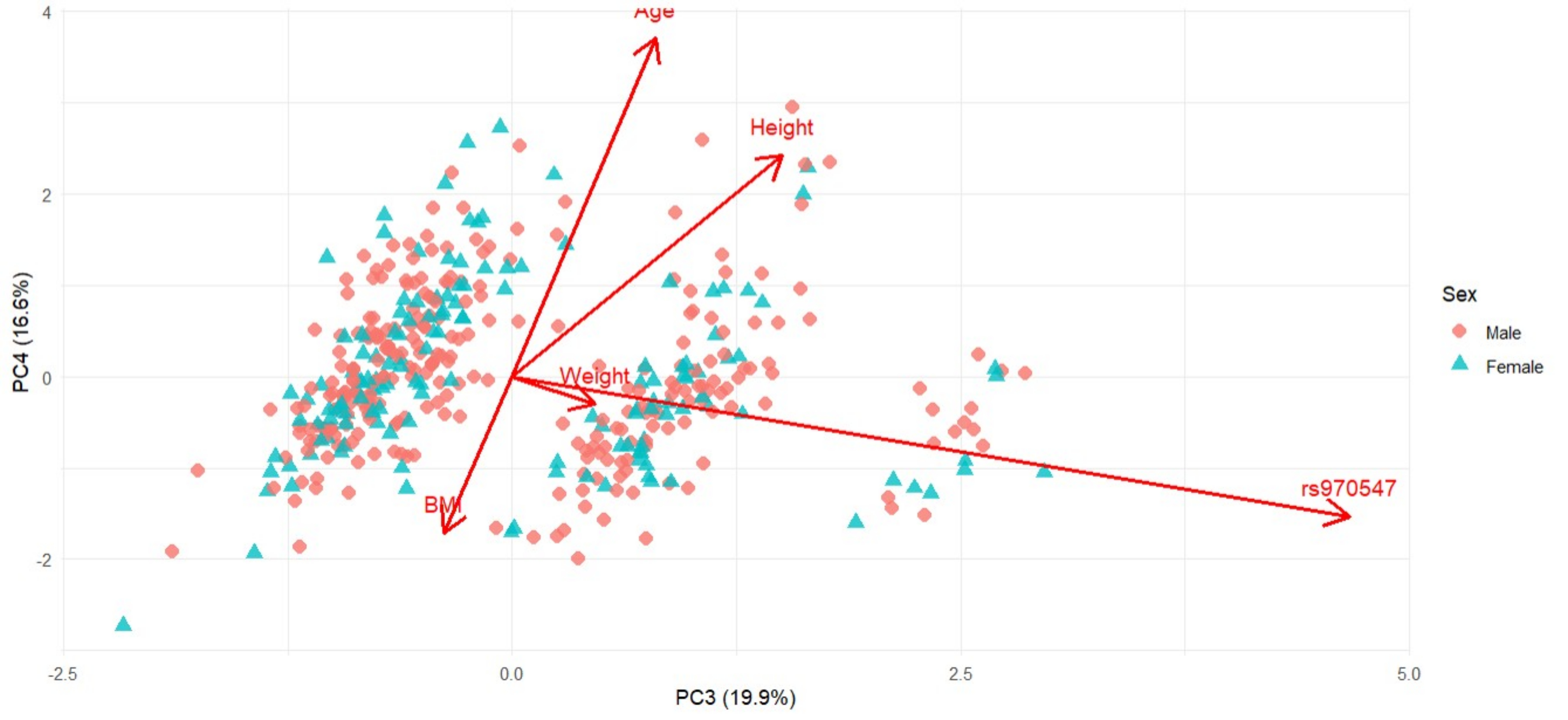 : Principal Component Analysis biplot based on sex-standardised Age, Height, Weight, BMI and genotype (COL12A1 rs970547 C>T) for the South African cohort stratified by sex, with PC3 and PC4 explaining 19.9% and 16.6% of the total variance