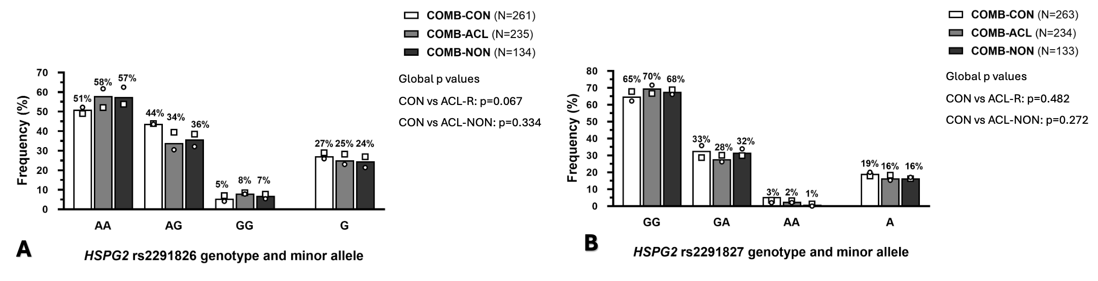 The distribution of genotype and allele frequencies of two HSPG2 variants are shown for the anterior cruciate ligament rupture and the control groups of both the Polish and the Swedish participants. 